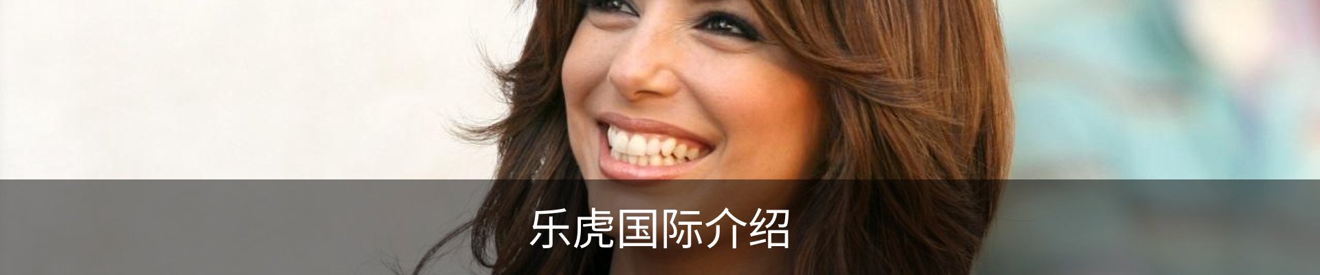 乐虎国际介绍