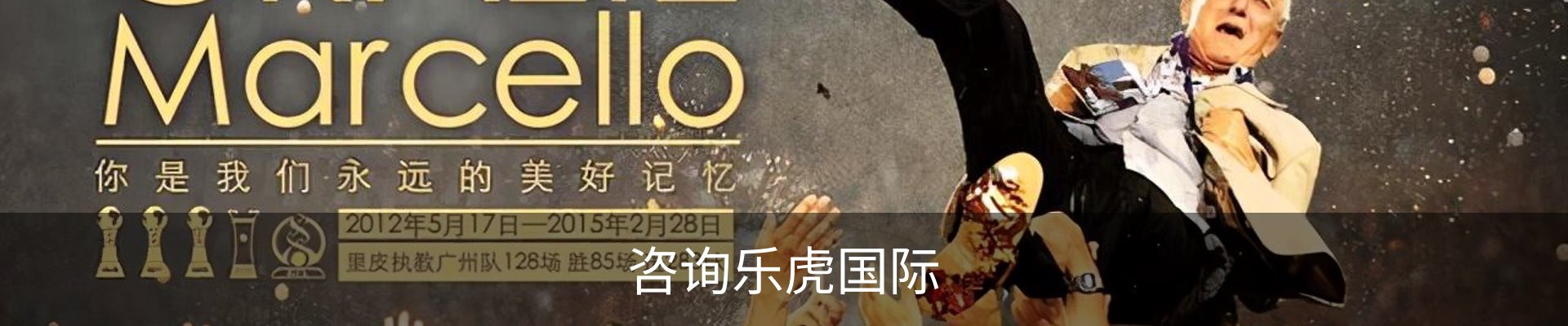 咨询乐虎国际
